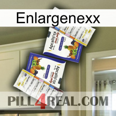 Enlargenexx 12